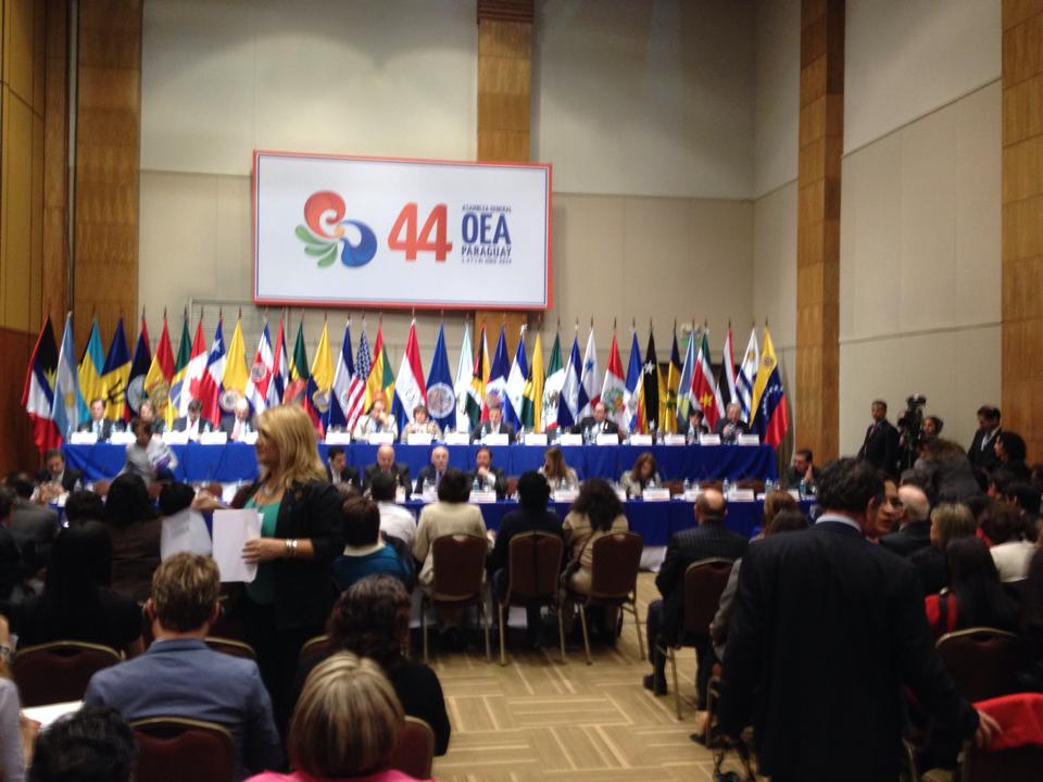 OEA. Paraguay.