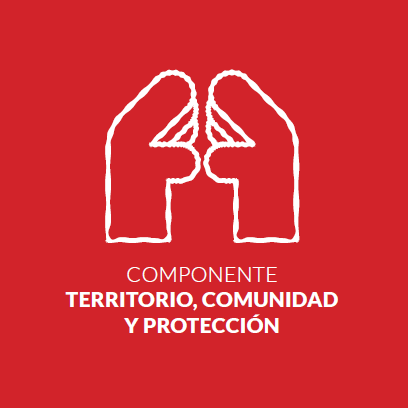 COMPMesa de trabajo 11