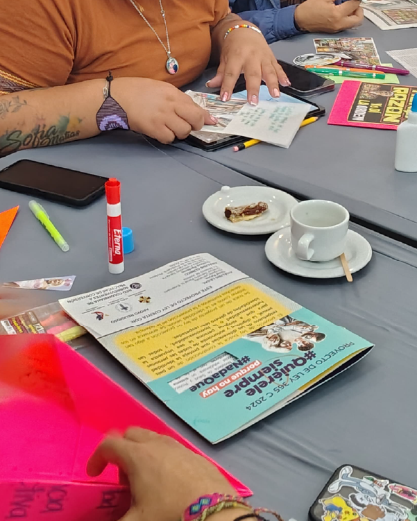 IMGSNARRMesa de trabajo 4 copia 10