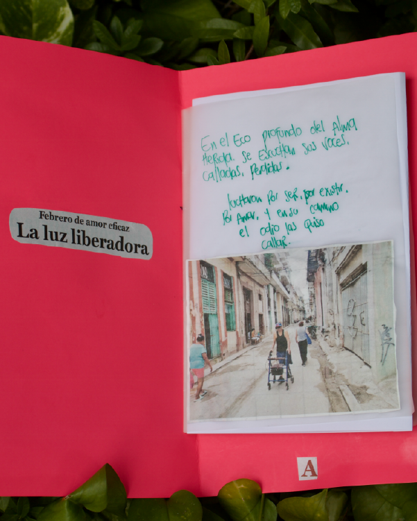 IMGSNARRMesa de trabajo 4 copia 16