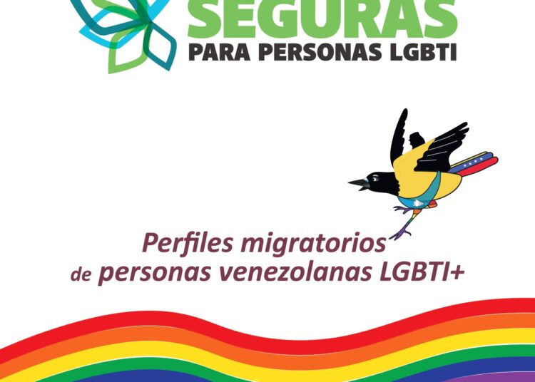 Perfiles migratorios de personas venezolanas LGBTI+ en situación de movilidad humana en Colombia: violencias, vulneración de derechos e impactos emocionales